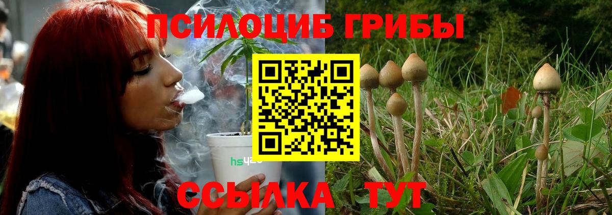 Галлюциногенные грибы ЛСД Энгельс