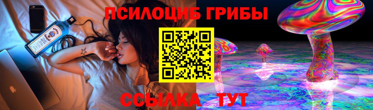 Псилоцибиновые грибы Cubensis  Галлюциногенные грибы GOLDEN TEACHER  Энгельс  Вход с VPN 